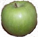 Granny Smith apple