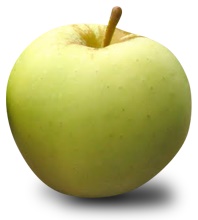 Lodi apple