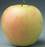 Blushing Golden apple