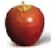 Braeburn &nbsp;apple
