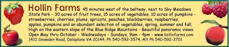 Hollins Farm Virginia Pick Your Own Peaches