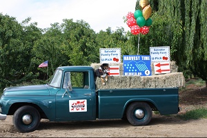 Salvador's Cherry Farm - U-pick Bing Cherries 