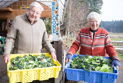 Nanoose Edibles Farm 