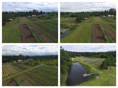 Nanoose Edibles Farm 