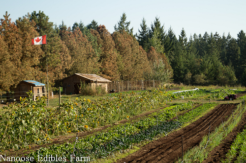 Nanoose Edibles Farm -