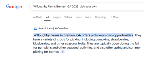 Google's AI search makes stuff up