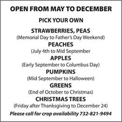 Giamarese Farm pick your own crop schedule