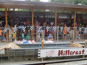 Hillcrest orchards pig races