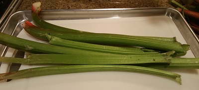 Green rhubarb