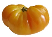 Pineapple tomato