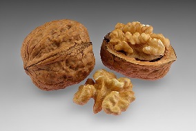 Walnut festivals 